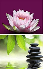 Lymphedema Treatment